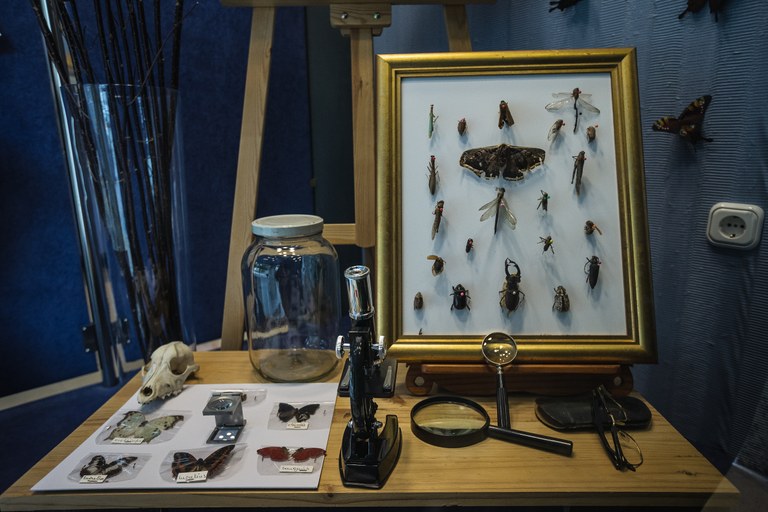 Lenceria Ross (4).jpg