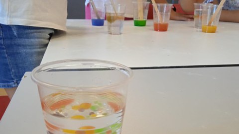 Ya han realizado la jornada abierta en Bizilabe de Abanto-Zierbena