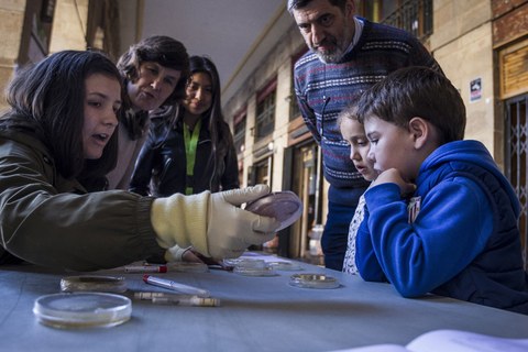 Por tercer año consecutivo se celebrará la feria STEM de Urola Erdia Por tercer año consecutivo se celebrará la feria STEM de Urola Erdia