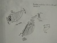 Gazteak Bilboko Bizilaben_2021_3.jpg