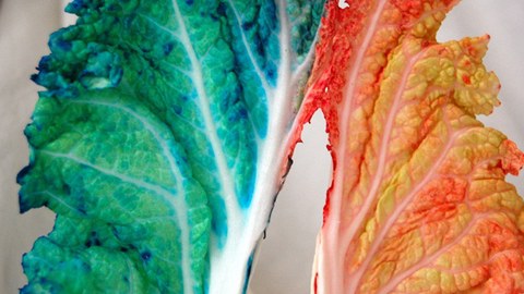 Tabakalera ofrece talleres para jóvenes este otoño en colaboración con Elhuyar Tabakalera ofrece talleres para jóvenes este otoño en colaboración con Elhuyar