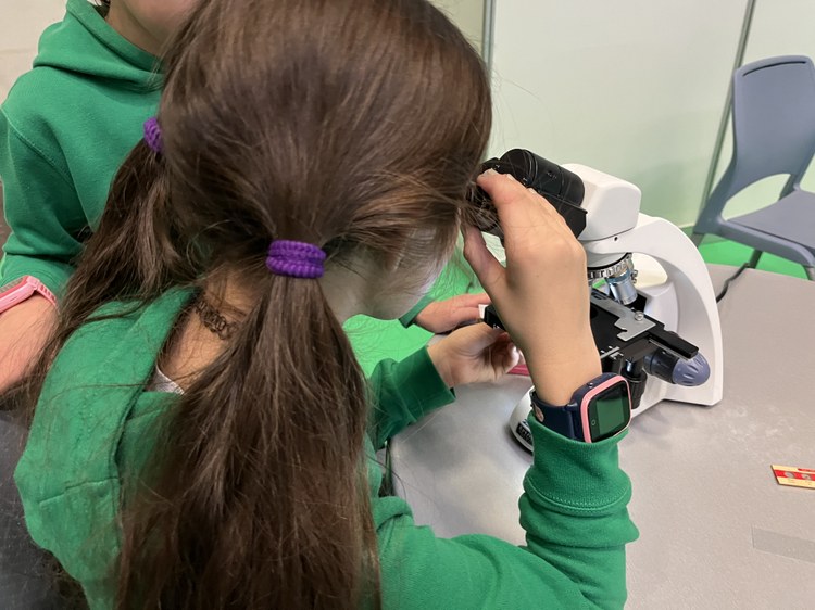 Comienza el curso 2025-2026 de Bizilabe en Pamplona