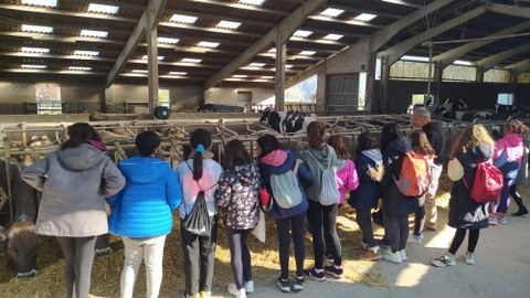 Jóvenes de Bizilabe Tolosaldea han realizado sendas visitas a la Escuela Agraria Fraisoro y a la empresa Domotek 3D