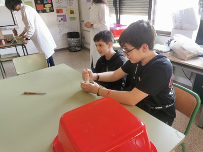 IMG_20220426_160248.jpg
