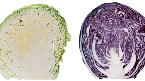 Maiatzak 19. Erronka: 'Barazki margolariak' Maiatzak 19. Erronka: 'Barazki margolariak'