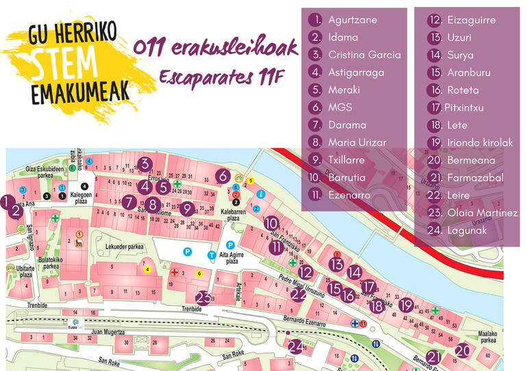 Gu herriko STEM emakumeak. PLANOA.png