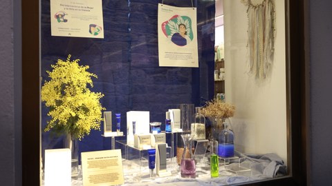 Tolosaldeko saltokiek bat egin dute “Otsailaren 11 erakusleihoak” ekimenarekin